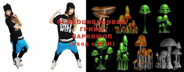 мдпв Абаза