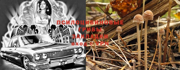 мяу мяу мука Абдулино