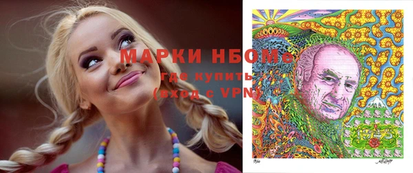 шишки Алзамай